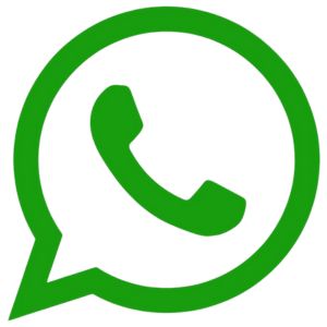 whatsapp dinkes Barito Selatan